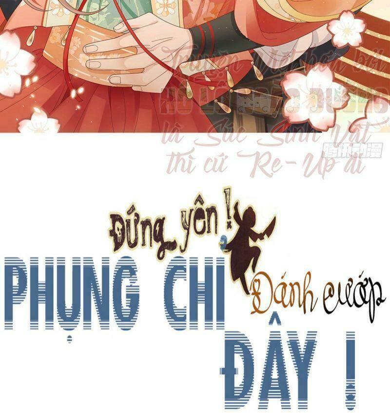 Đứng Yên ! Phụng Chỉ Đánh Cướp Đây Chương 33 Ảnh 3