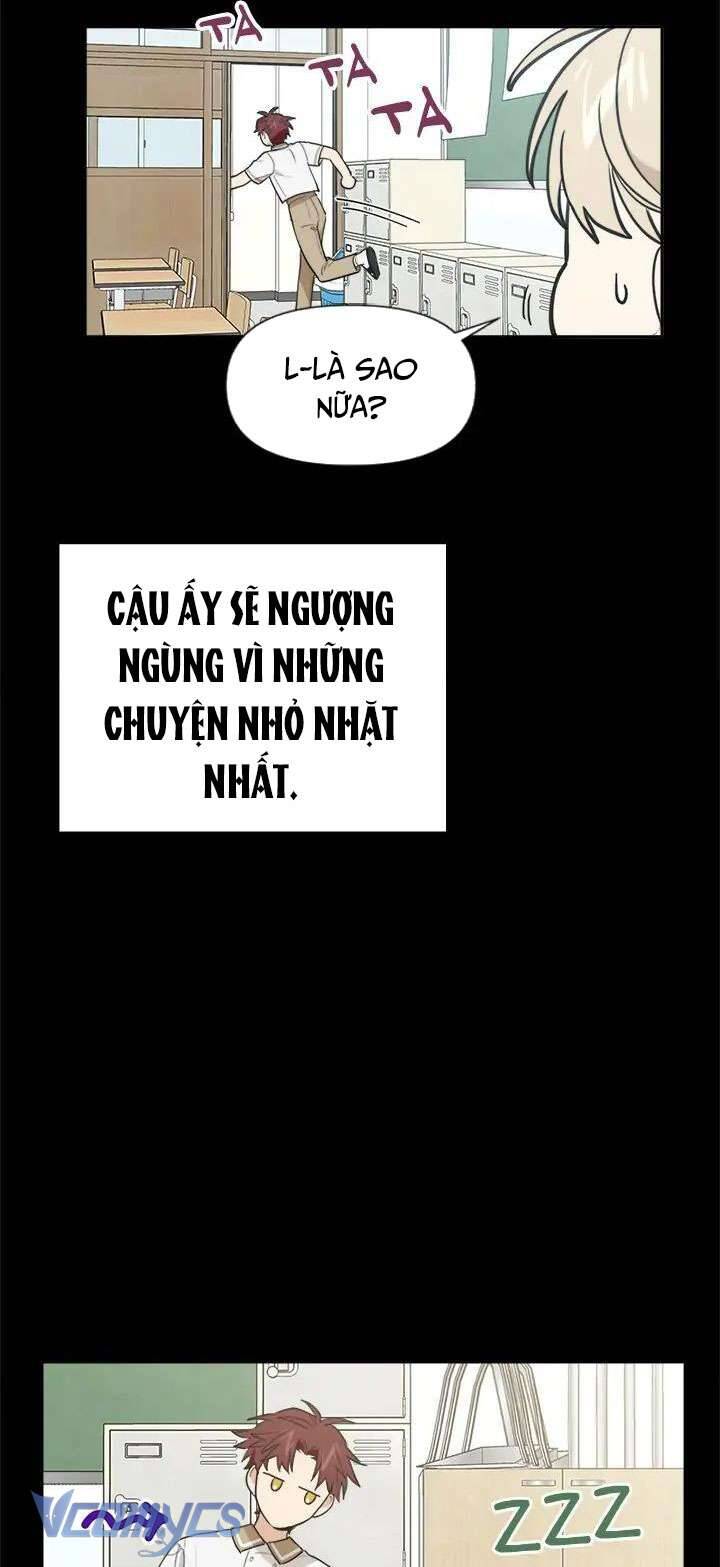 Điều Ước Sao Băng Chương 44 Ảnh 41