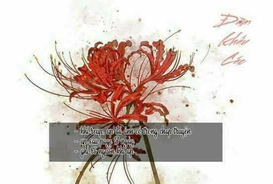 Hôn Ái Thành Ẩn Chương 4 Ảnh 2
