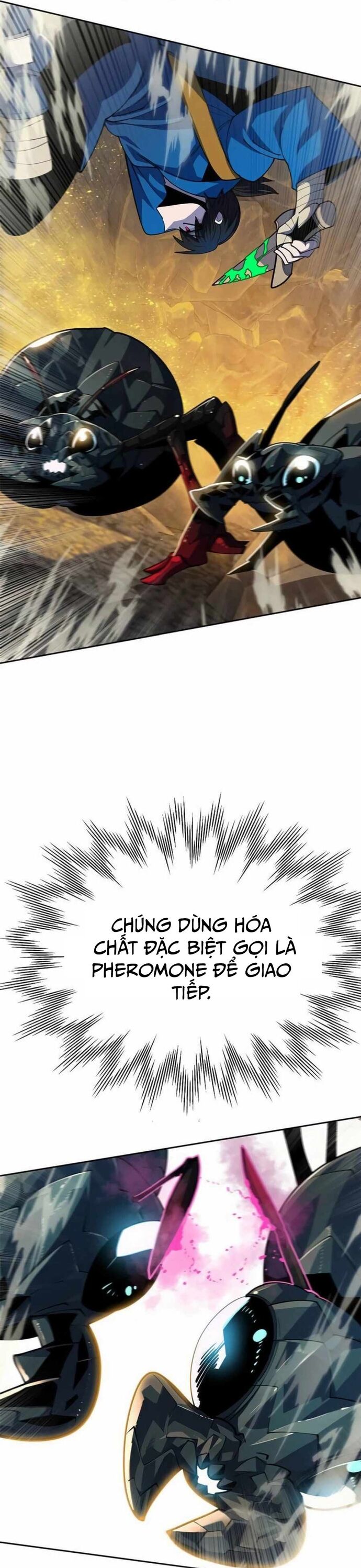 Tôi Chỉ Là Người Khuân Vác Trong Hầm Ngục Chương 21 Ảnh 58