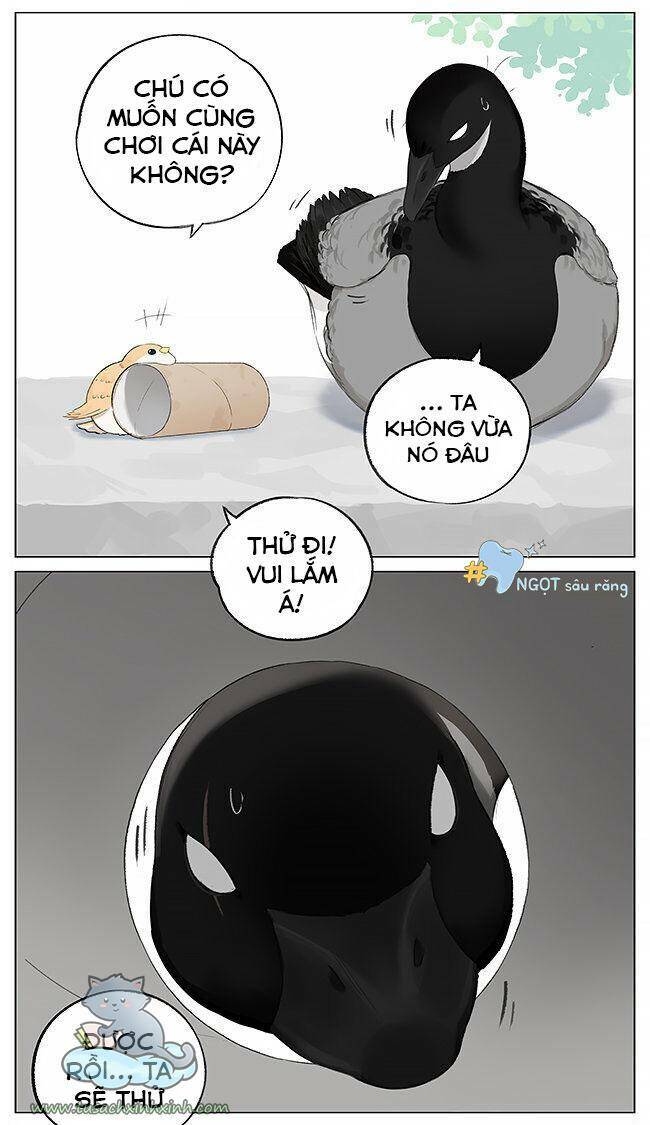 Chim Sẻ Gọi Ngỗng Trời Chương 3 Ảnh 4