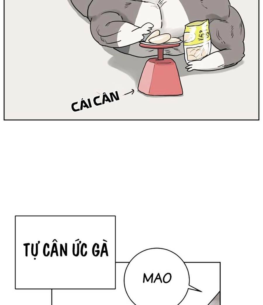 Con Mèo Đô Vật Của Tôi Chương 1 Ảnh 70