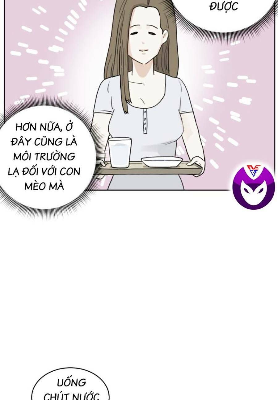 Con Mèo Đô Vật Của Tôi Chương 3 Ảnh 36