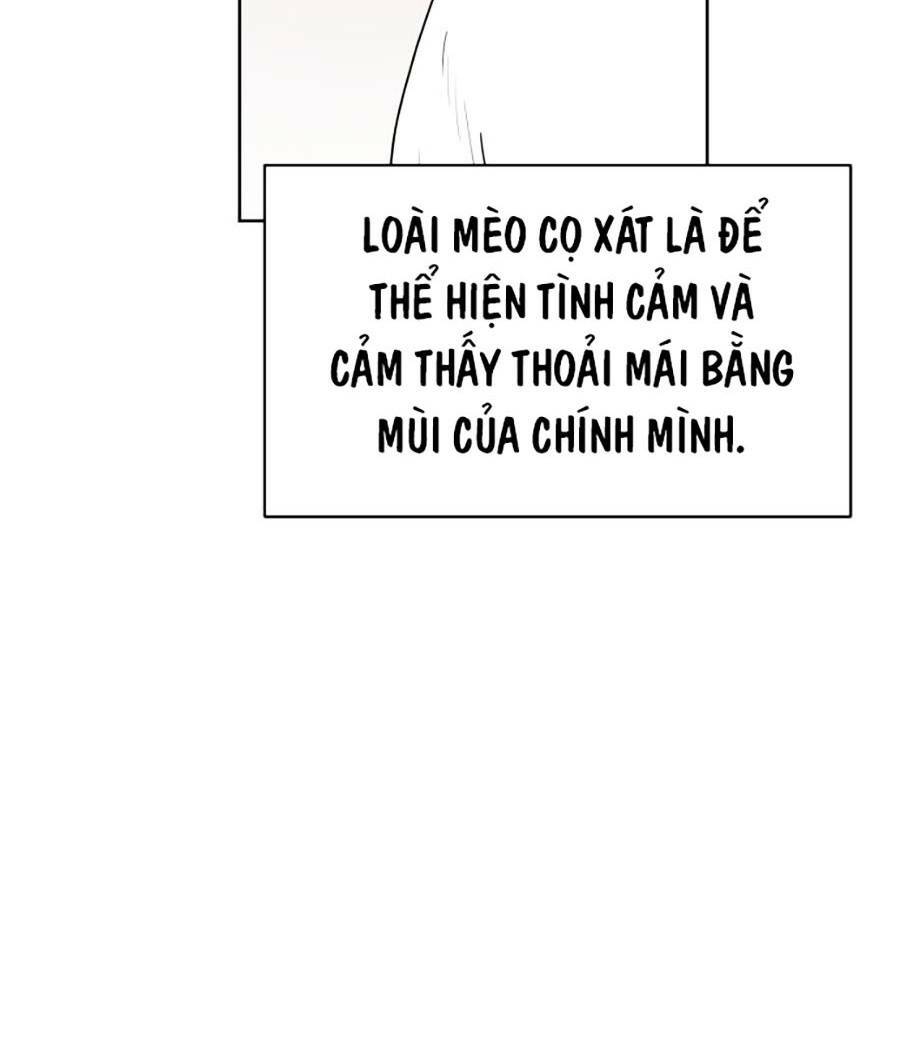 Con Mèo Đô Vật Của Tôi Chương 1 Ảnh 74