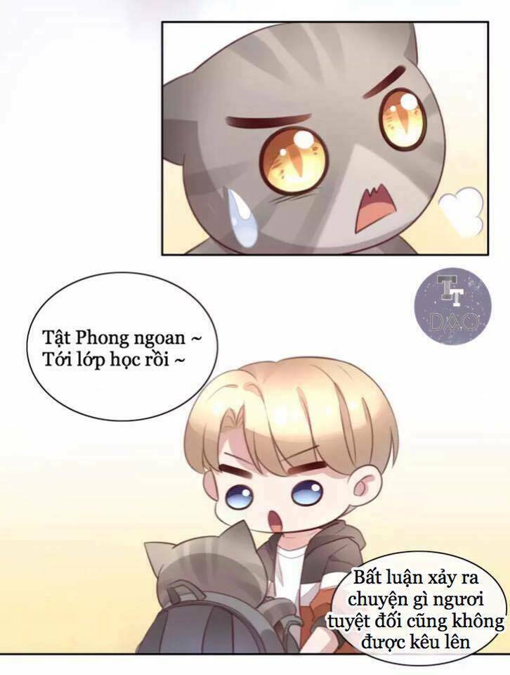 Dưới Móng Vuốt Mèo Chương 21 Ảnh 23