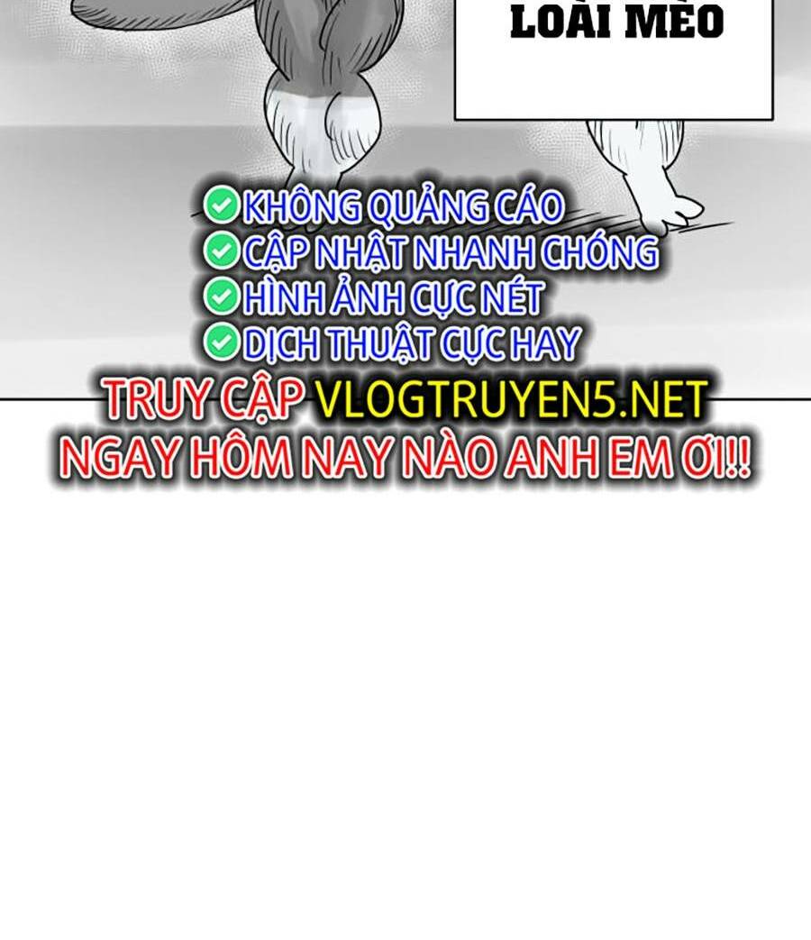 Con Mèo Đô Vật Của Tôi Chương 1 Ảnh 31
