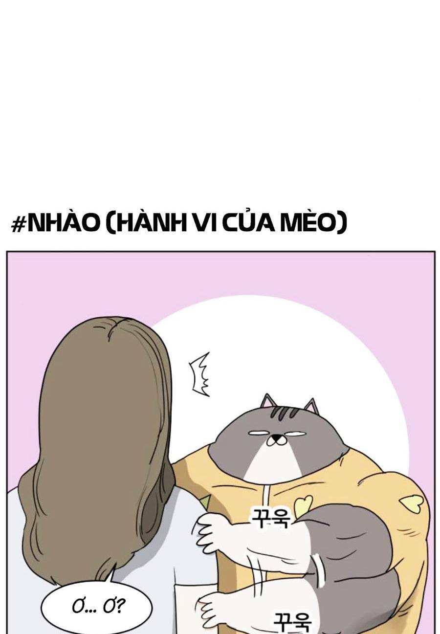 Con Mèo Đô Vật Của Tôi Chương 3 Ảnh 23