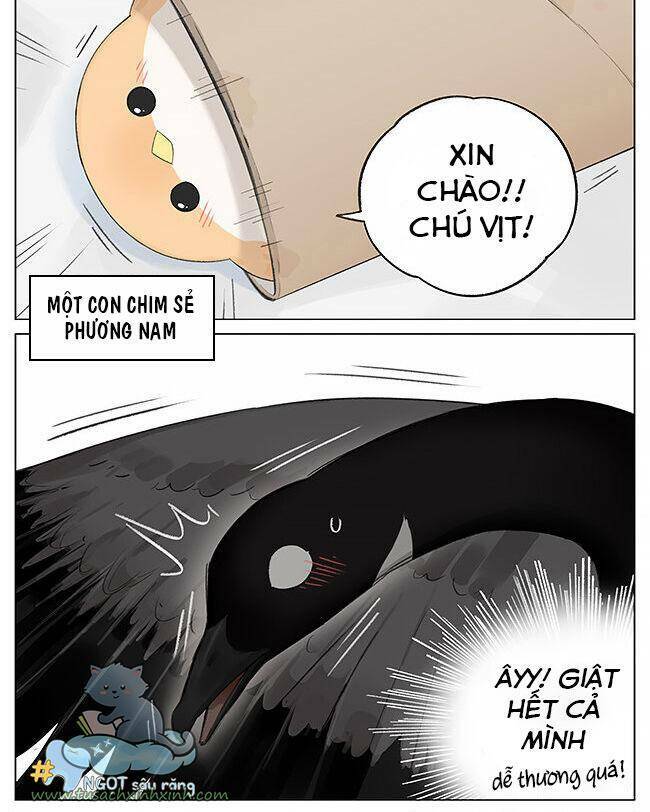 Chim Sẻ Gọi Ngỗng Trời Chương 3 Ảnh 3