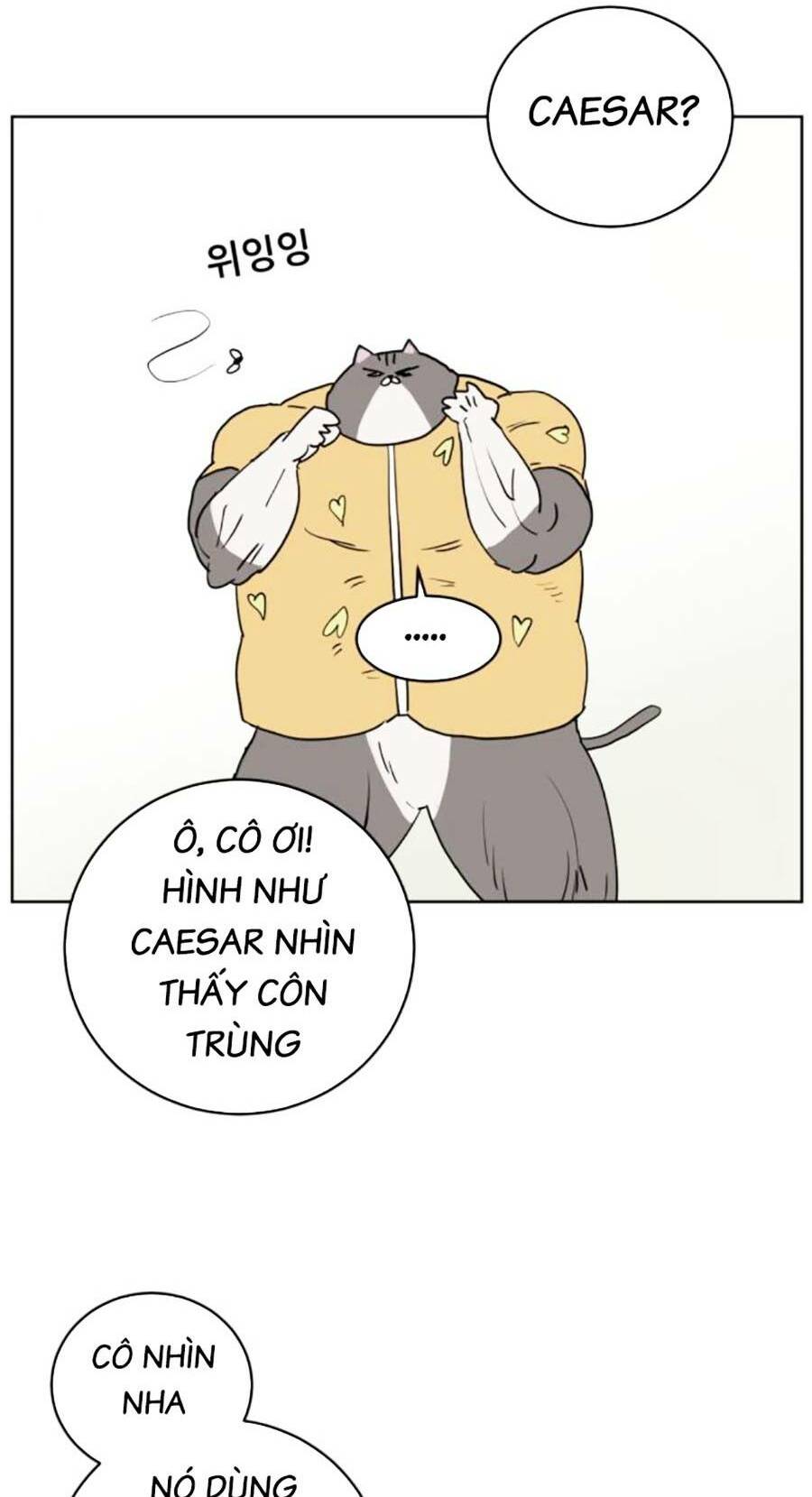 Con Mèo Đô Vật Của Tôi Chương 3 Ảnh 56