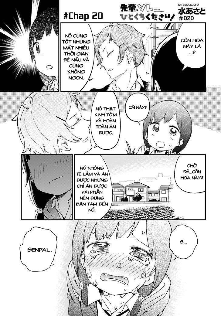 Senpai, Sore Hitokuchi Kudasai! Chương 20 Ảnh 4
