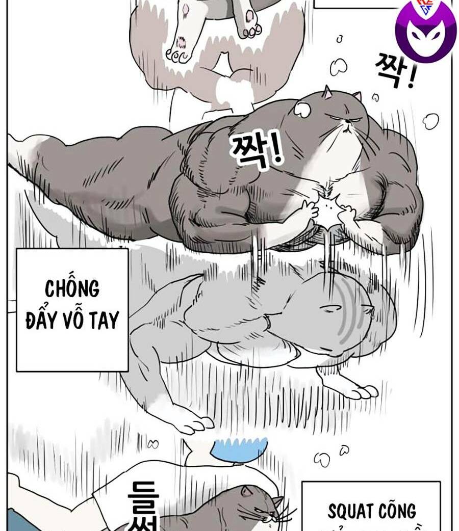 Con Mèo Đô Vật Của Tôi Chương 1 Ảnh 35