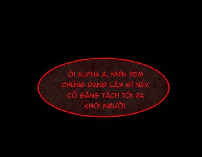 Cột Sống Đỏ Chương 23 Ảnh 52