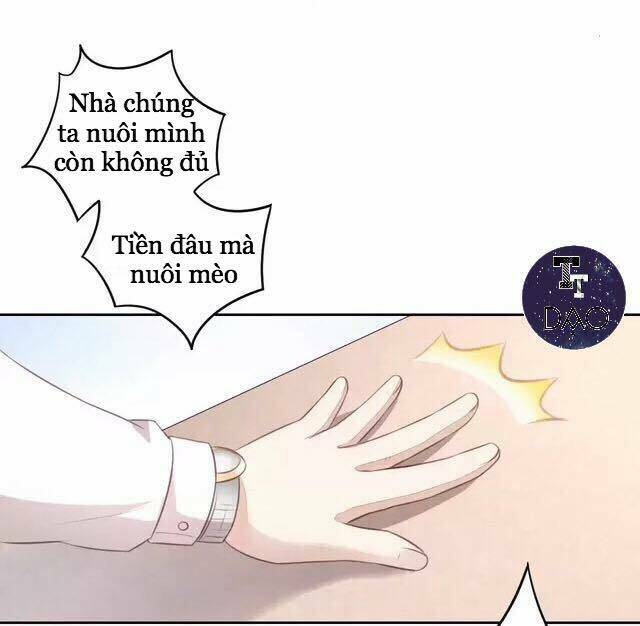 Dưới Móng Vuốt Mèo Chương 20 Ảnh 27