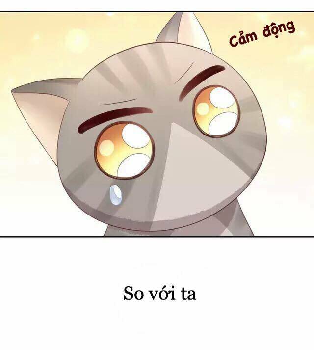 Dưới Móng Vuốt Mèo Chương 20 Ảnh 36