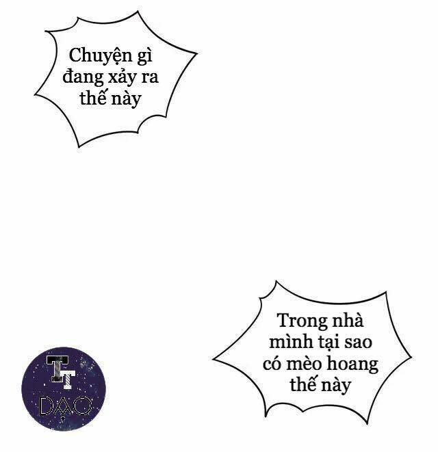 Dưới Móng Vuốt Mèo Chương 20 Ảnh 21