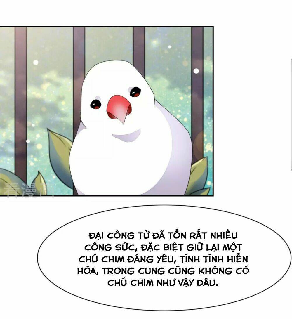 Xuyên Về Cổ Đại Làm Quốc Bảo Chương 48 Ảnh 27