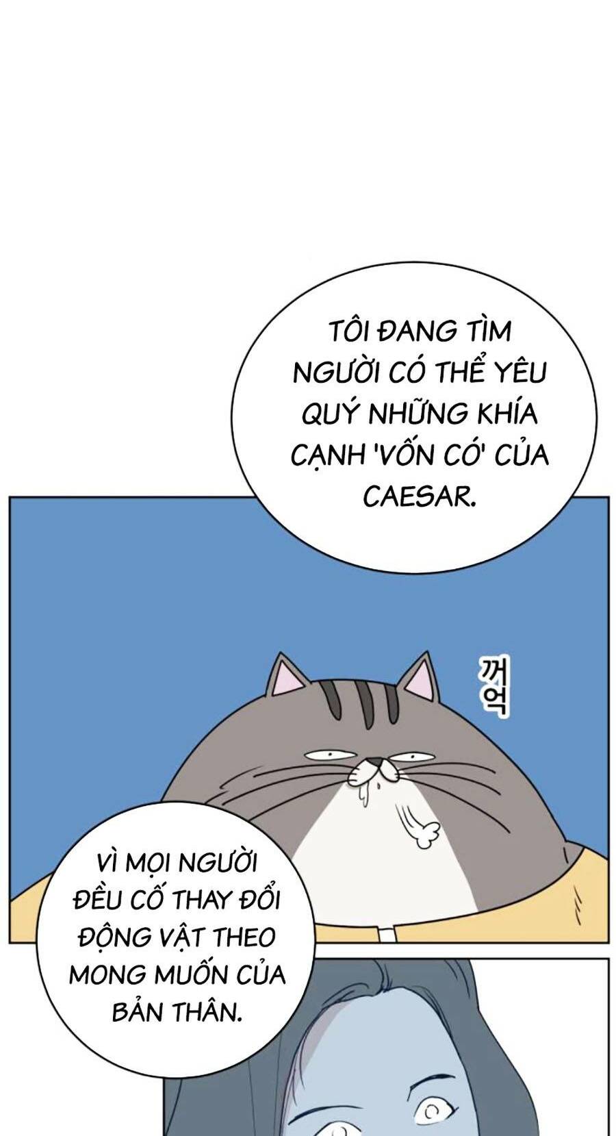 Con Mèo Đô Vật Của Tôi Chương 3 Ảnh 48