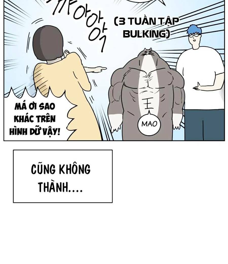 Con Mèo Đô Vật Của Tôi Chương 1 Ảnh 53