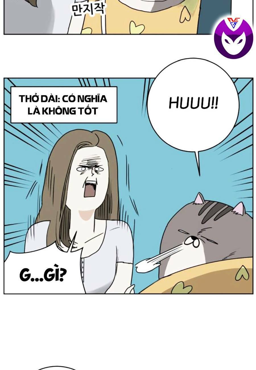 Con Mèo Đô Vật Của Tôi Chương 3 Ảnh 26