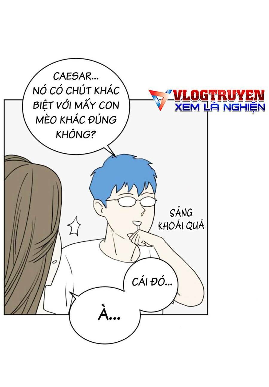 Con Mèo Đô Vật Của Tôi Chương 3 Ảnh 45