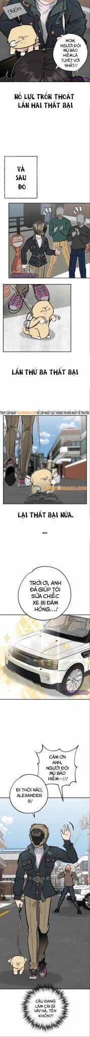 Con Rể Quỷ Quyệt Chương 24 Ảnh 8