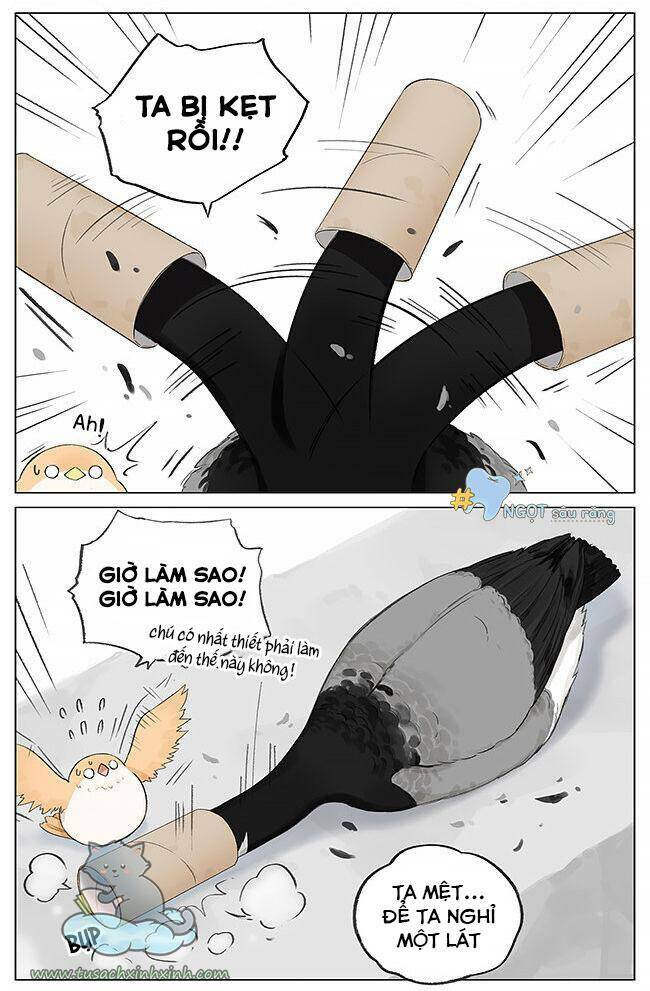 Chim Sẻ Gọi Ngỗng Trời Chương 3 Ảnh 6