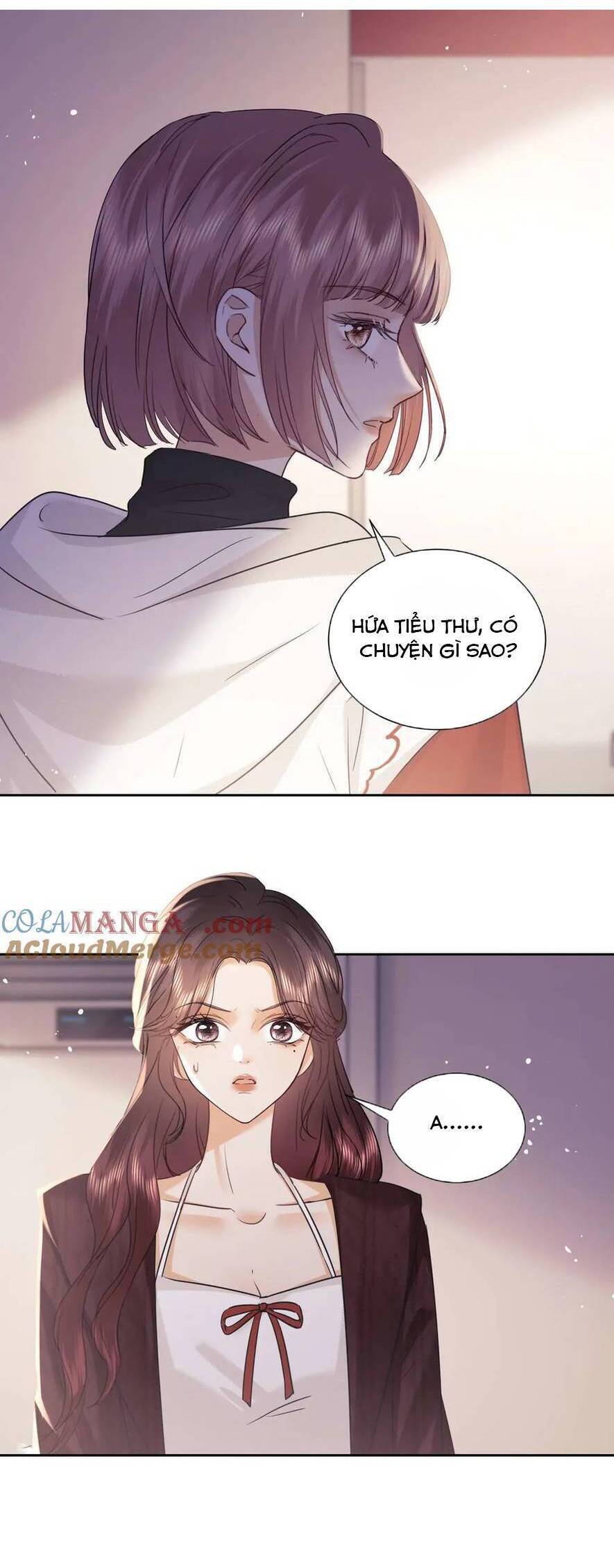 Phu Nhân, Thân Phận Của Người Lộ Rồi Chương 78 Ảnh 11