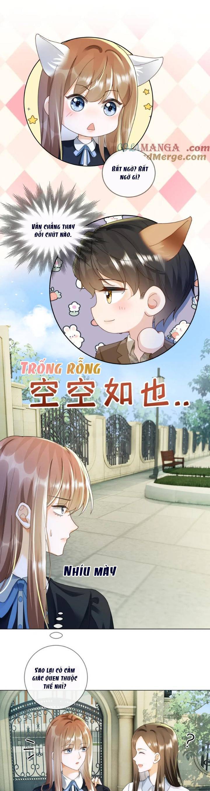 Tổng Tài Tỷ Phú Chỉ Sủng Cô Vợ Thế Thân Chương 74 Ảnh 18