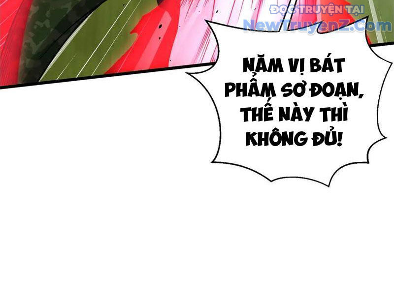 Toàn Cầu Cao Võ Chương 311 Ảnh 86