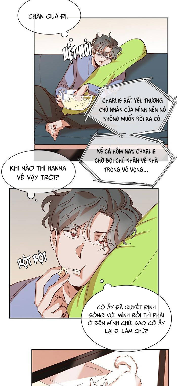Quỷ Sứ Số 4 Chương 99 Ảnh 15