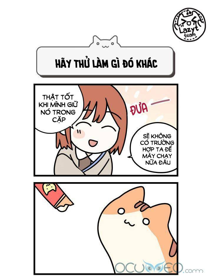 Khi Loài Mèo Làm Bá Chủ Thế Giới Chương 7 Ảnh 12