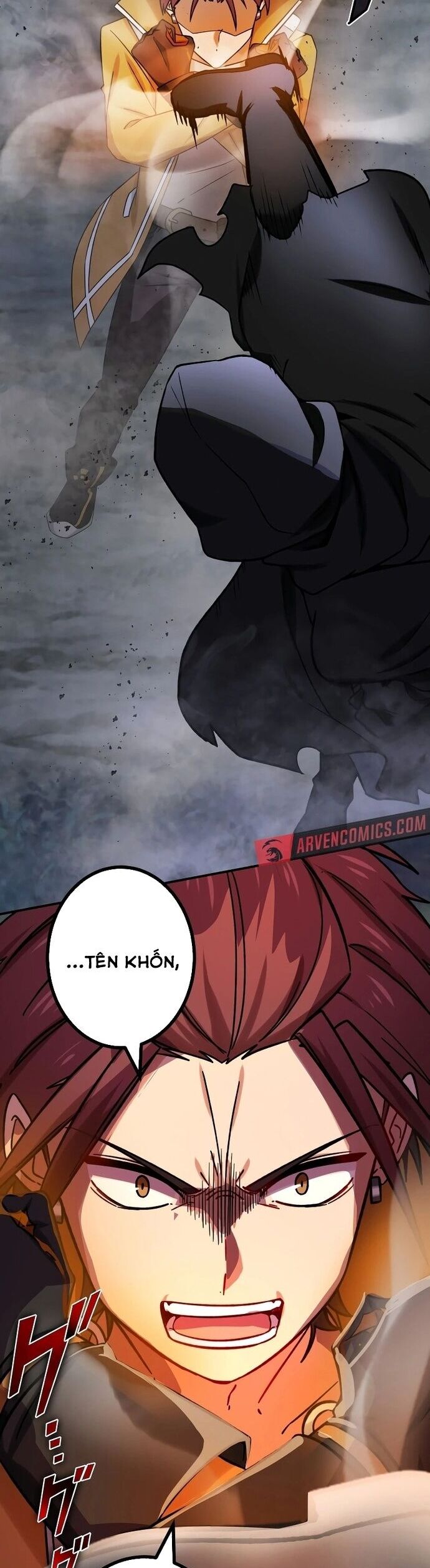 Sát Thủ Mạnh Nhất Chuyển Sinh Sang Thế Giới Khác Chương 84 Ảnh 29