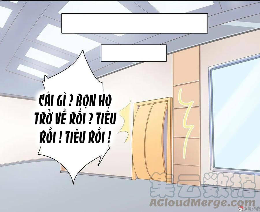 Tổng Tài ! Đừng Trả Hàng Nha ! Chương 76 Ảnh 11