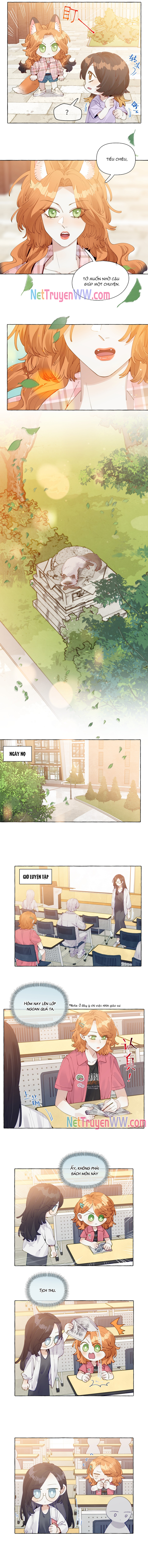 Những Lời Nói Dối Của Hồ Ly Chương 12 Ảnh 3