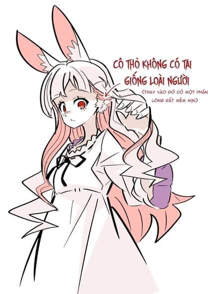 Cô Thỏ Sát Nhân Chương 1 Ảnh 11