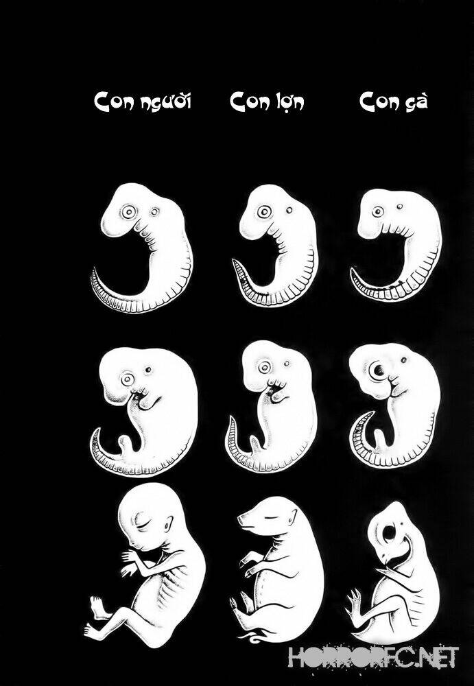 Lullbabies From Hell Chương 2 Ảnh 16