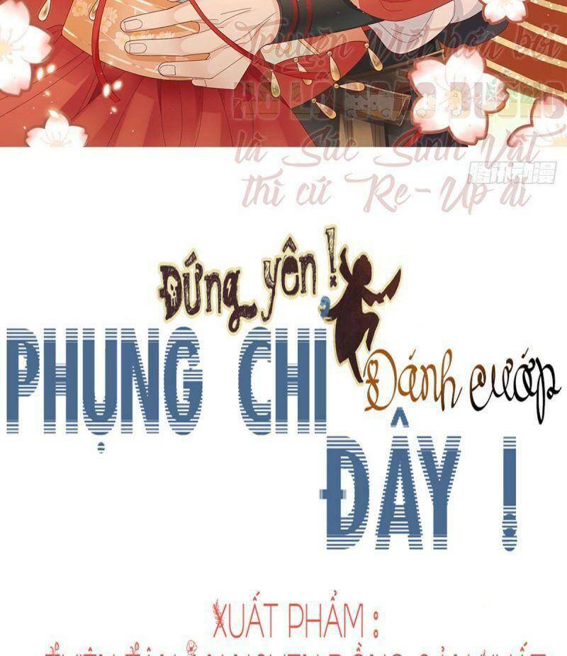 Đứng Lại! Phụng Chỉ Ăn Cướp Chương 40 Ảnh 3
