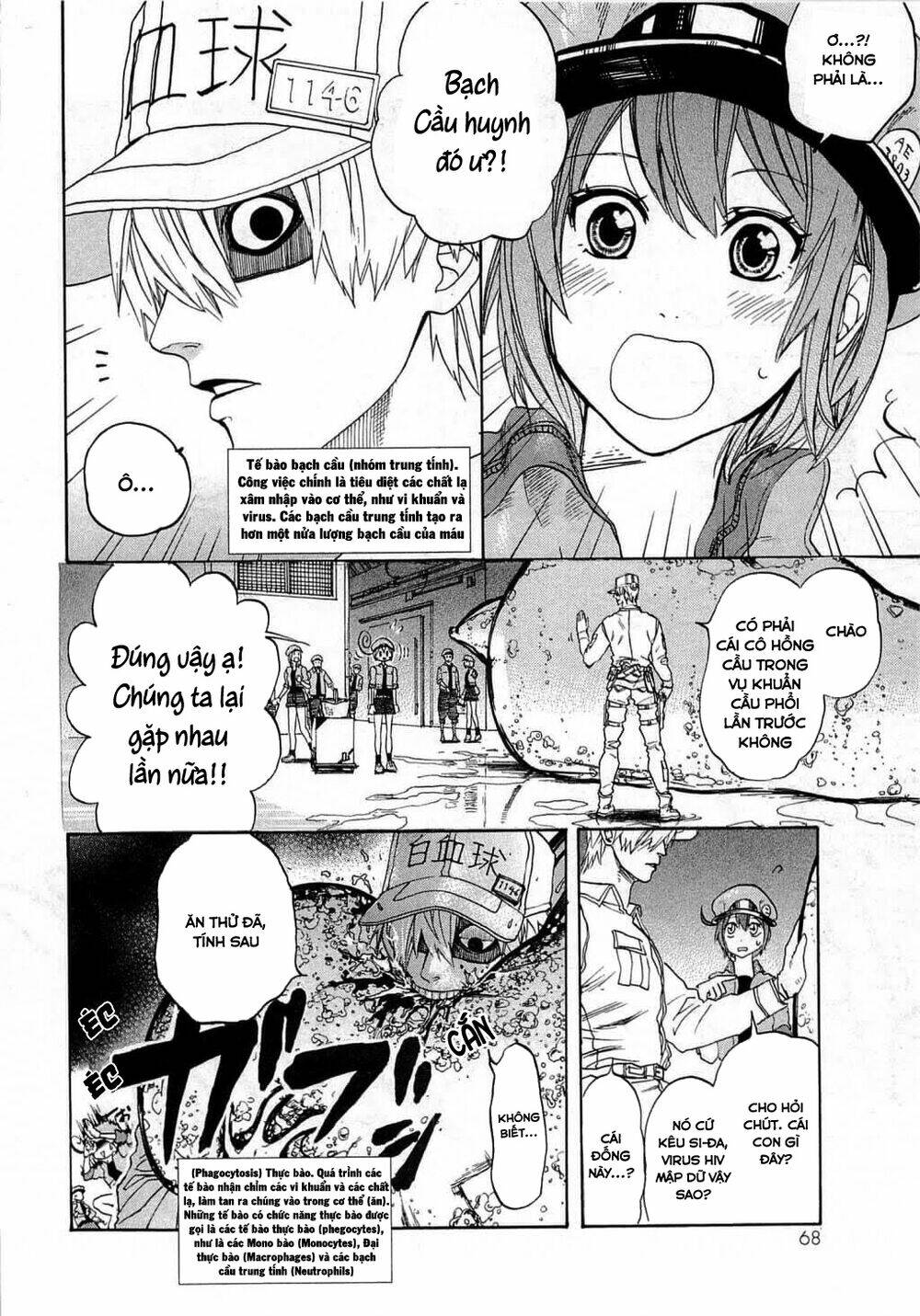 Hataraku Saibou ! Chương 2 Ảnh 12
