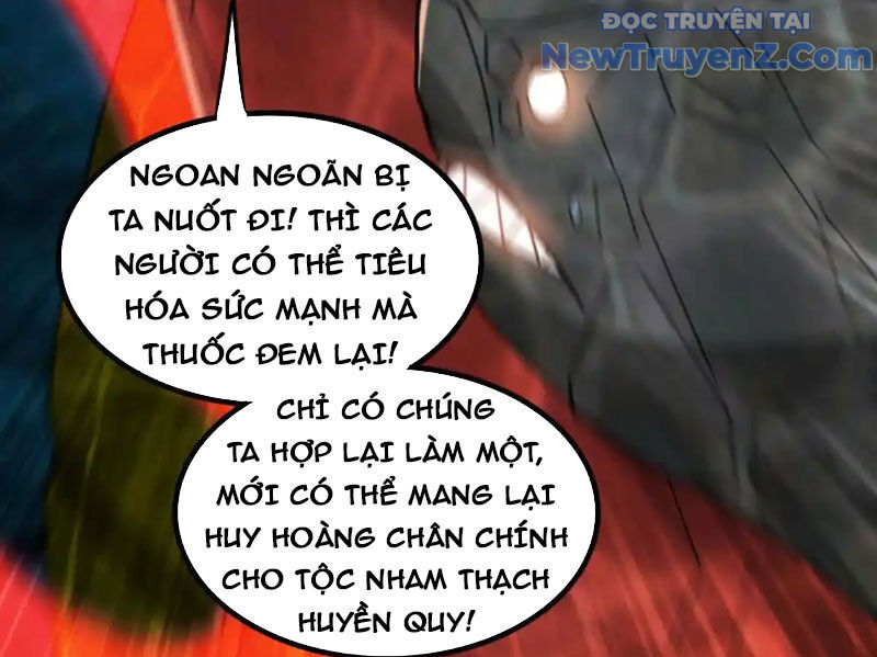 Huyễn Thú Của Ta Có Thể Tiến Hoá Vô Hạn Chương 31 Ảnh 15