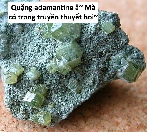 Hổ Đến Chơi Nhà (Puchimasu Miếu) Chương 141 Ảnh 102