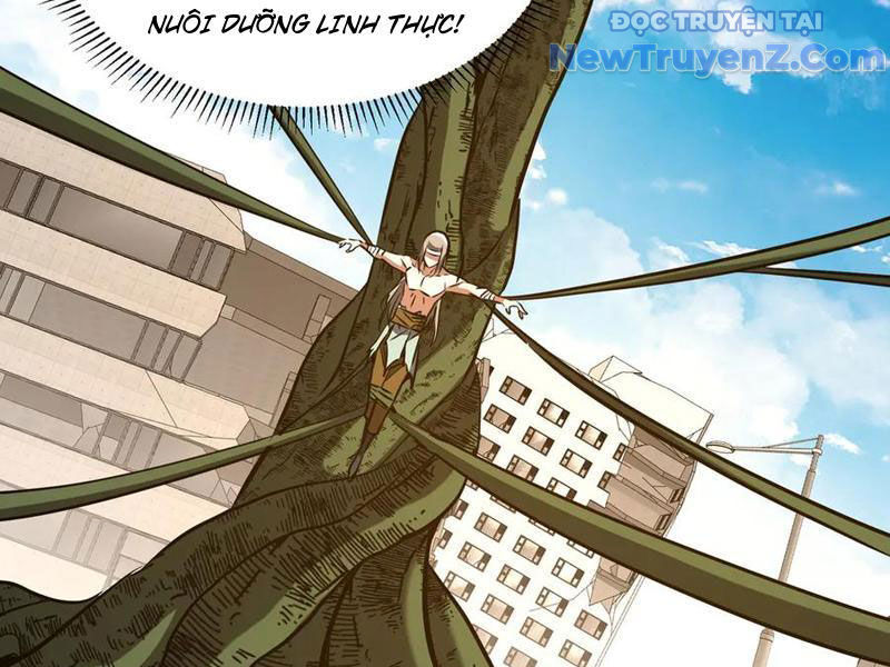 Ma Tu Tái Sinh: Khởi Đầu Nhặt Được Một Hành Tinh Zombie Chương 41 Ảnh 116