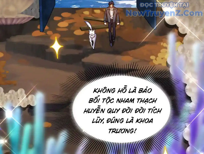 Huyễn Thú Của Ta Có Thể Tiến Hoá Vô Hạn Chương 31 Ảnh 100