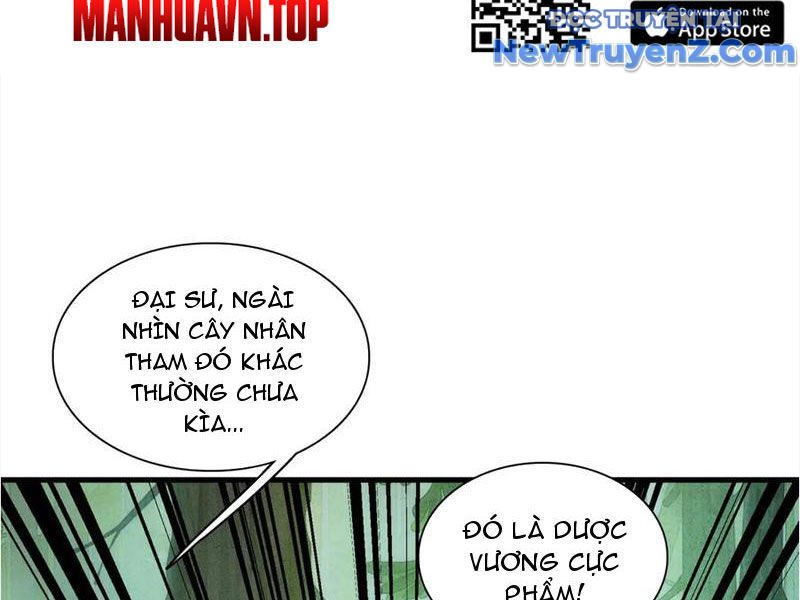 Gặp Mạnh Thì Càng Mạnh, Tu Vi Của Ta Không Giới Hạn Chương 48 Ảnh 24