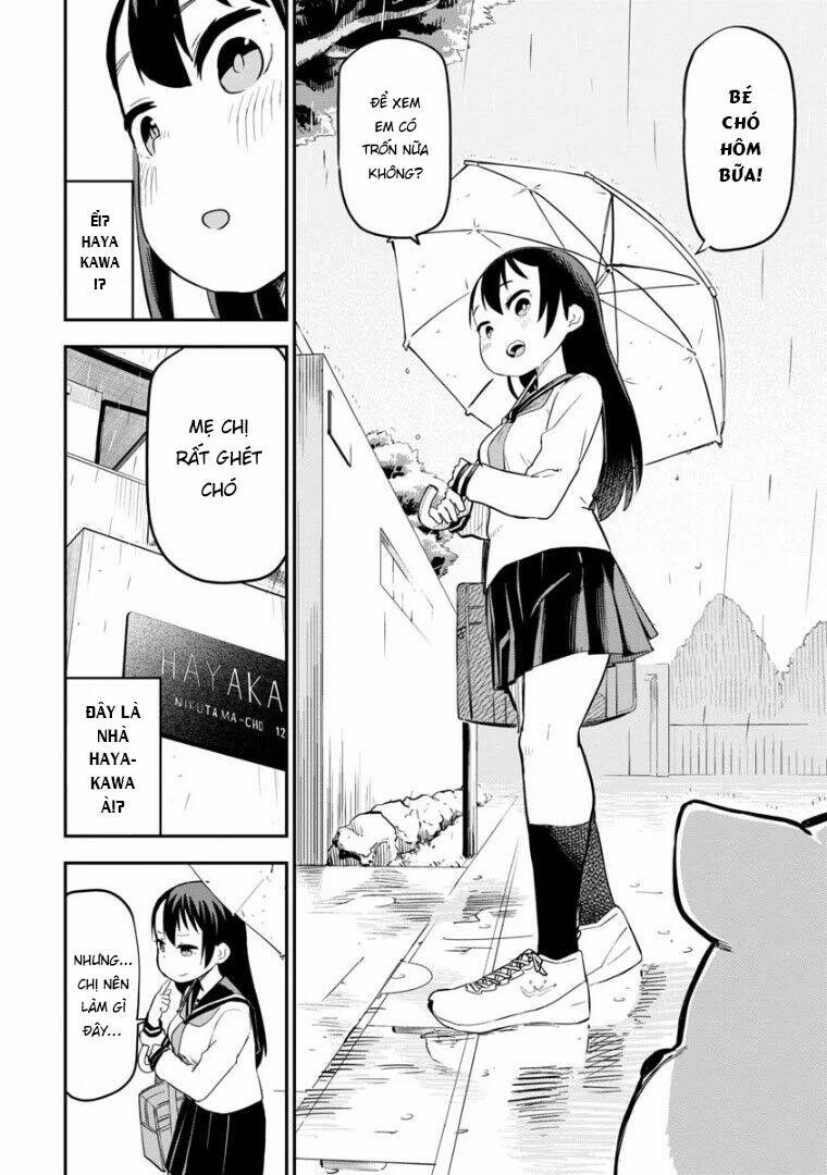 Okami-Kun Wa Hayakawa-San Ni Katenai Chương 4 Ảnh 8