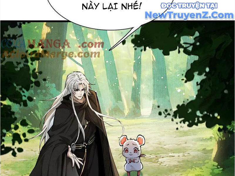 Gặp Mạnh Thì Càng Mạnh, Tu Vi Của Ta Không Giới Hạn Chương 48 Ảnh 17