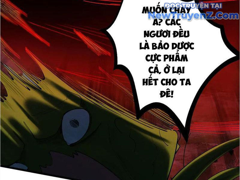 Gặp Mạnh Thì Càng Mạnh, Tu Vi Của Ta Không Giới Hạn Chương 48 Ảnh 15