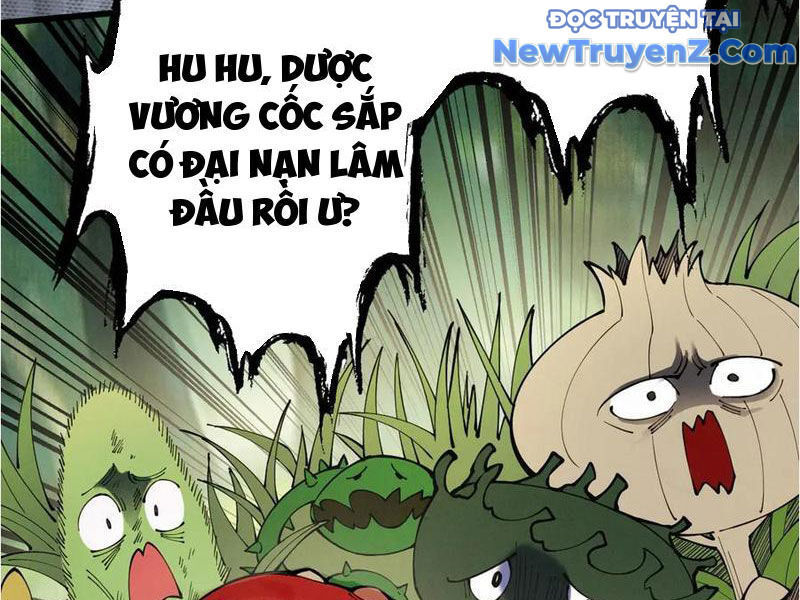 Gặp Mạnh Thì Càng Mạnh, Tu Vi Của Ta Không Giới Hạn Chương 48 Ảnh 6