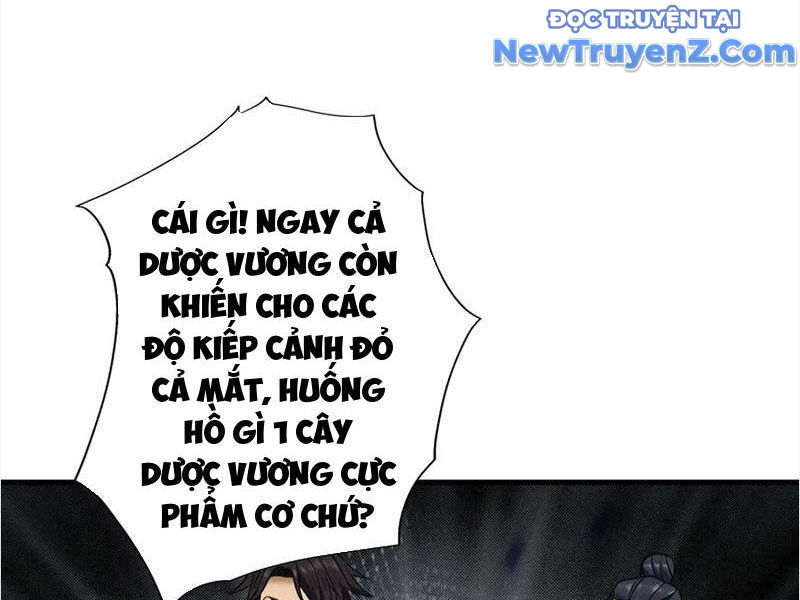Gặp Mạnh Thì Càng Mạnh, Tu Vi Của Ta Không Giới Hạn Chương 48 Ảnh 28