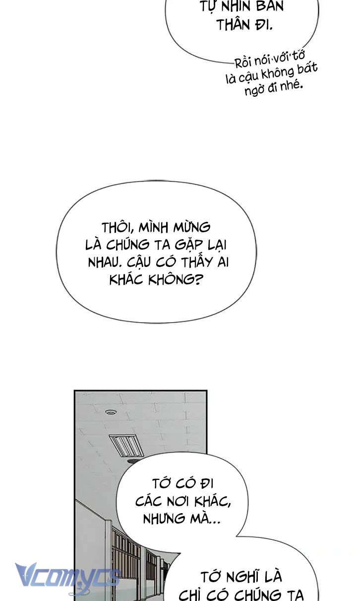 Điều Ước Sao Băng Chương 47 Ảnh 18