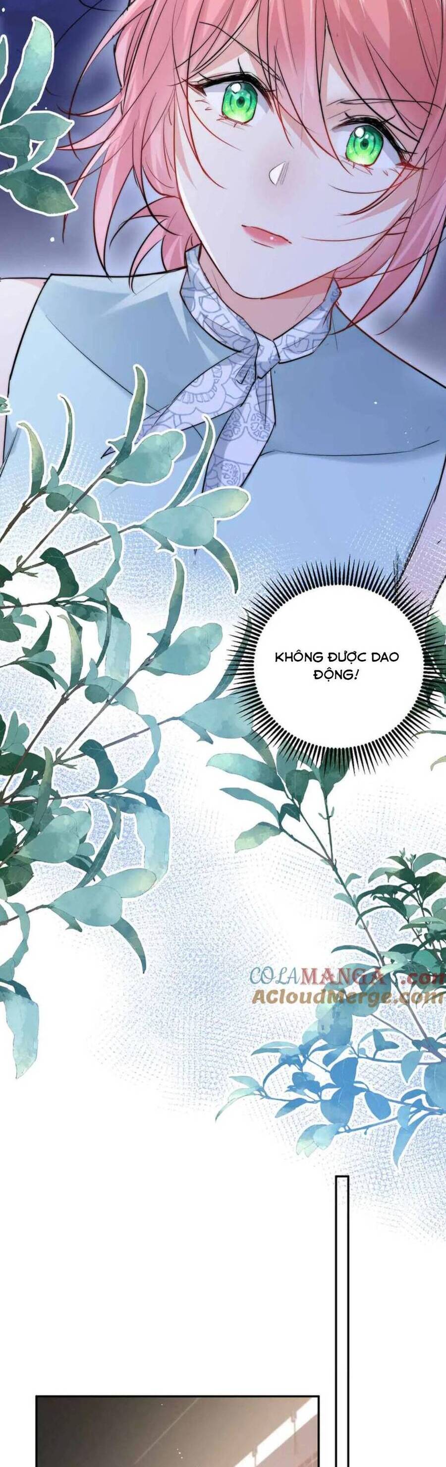 Tiểu Bảo Bối Đặc Biệt Của Tổng Tài Lạnh Lùng Chương 49 Ảnh 22